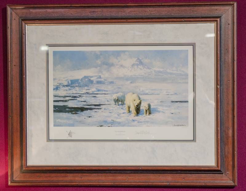 David Shepherd Signed Print of Ice Wilderness - Paintings & Prints ...