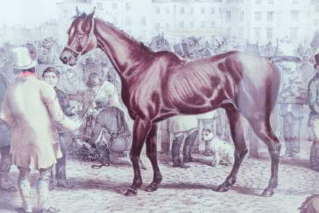 1855 Alken Engraving of Smithfield Show image-2