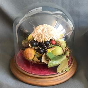 Mid 19th Century Waxed Fruit under a Glass Dome