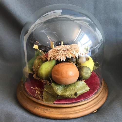 Mid 19th Century Waxed Fruit under a Glass Dome image-4
