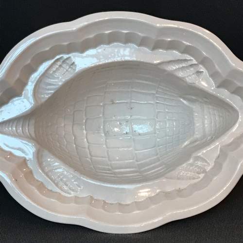 Shelley Large 19th Century Armadillo Jelly Mould image-2