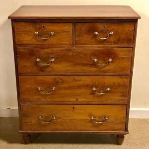 Late Georgian Yew Wood Chest of Drawers