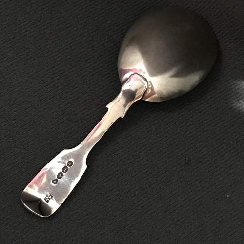 Late 19th Century Silver Caddy Spoon image-2