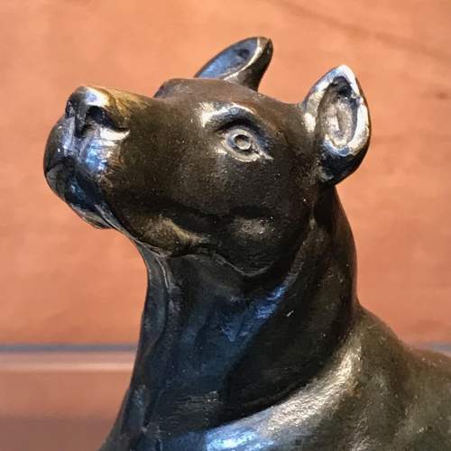 19th Century Animalier Bronze of a Mastiff Dog image-3