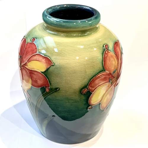 Walter Moorcroft African Lily Vase image-3