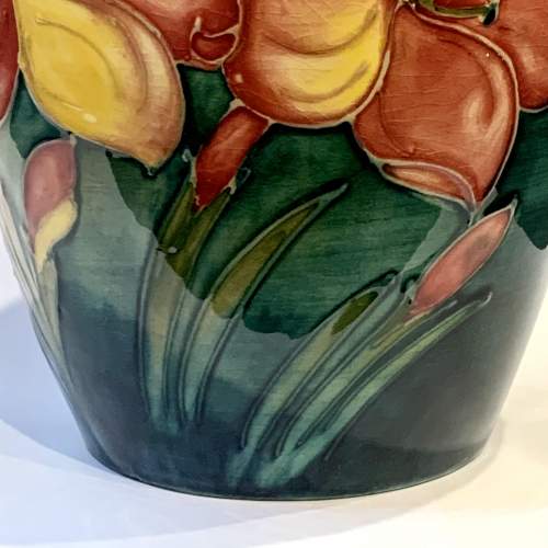 Walter Moorcroft African Lily Vase image-6