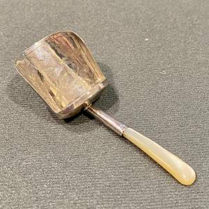 Early 19th Century Mother of Pearl and Silver Shovel Caddy Spoon