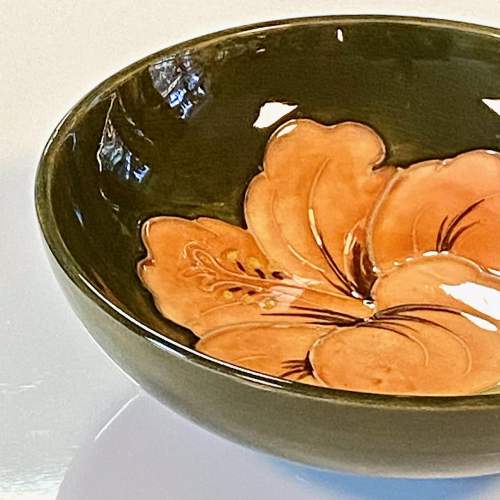 Moorcroft Pottery Coral Hibiscus Bowl image-2