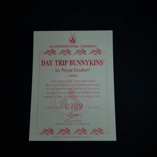 Royal Doulton Bunnykins Day Trip Bunny DB260 image-5