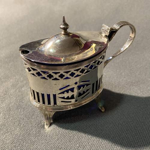 Early 20th Century Silver Mustard Pot image-2