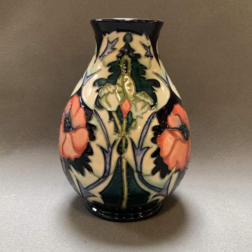Late 20th Century Moorcroft Pottery Poppy Vase image-1