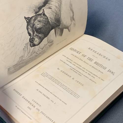 19th Century George R Jesse History of the British Dog Books image-5