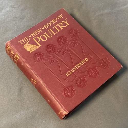 Early 20th Century Lewis Wright New Book of Poultry image-1