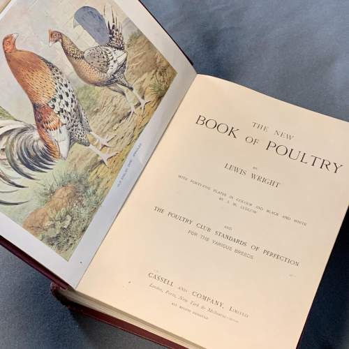 Early 20th Century Lewis Wright New Book of Poultry image-4