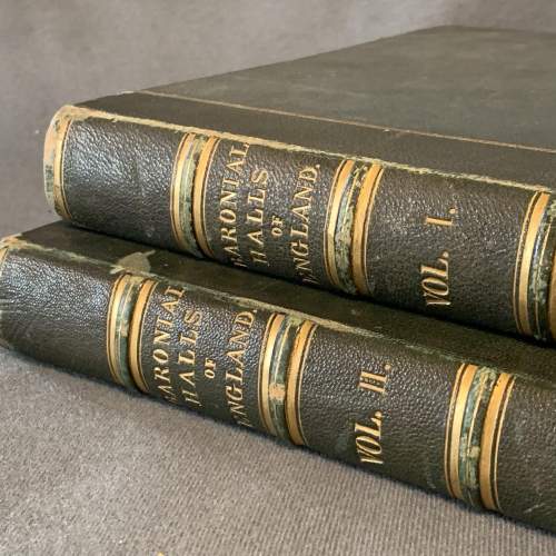 19th Century 2 Volumes of Baronial Halls and Picturesque Edifices image-2
