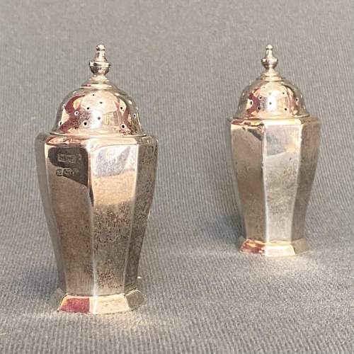 Pair of 20th Century Silver Pepperettes image-1