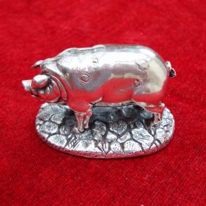 Silver Spotted Pig