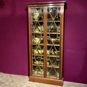 Victorian Mahogany Collectors Display Cabinet