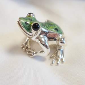 Silver Saturno Frog