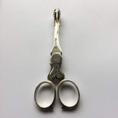Rare Victorian Silver Sugar Scissors image-1