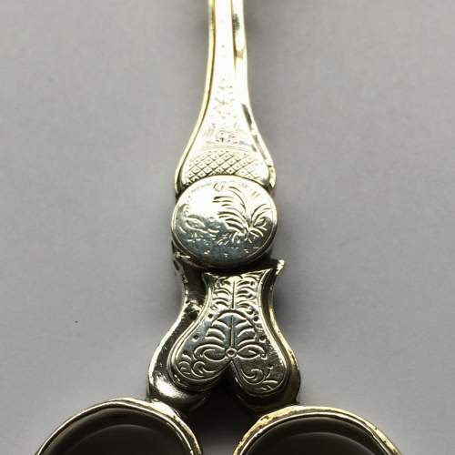 Rare Victorian Silver Sugar Scissors image-2