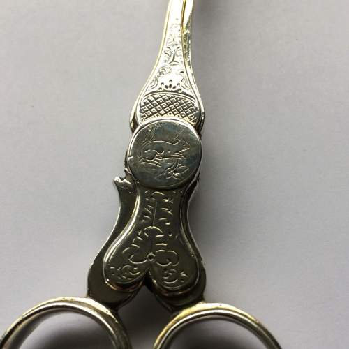 Rare Victorian Silver Sugar Scissors image-3