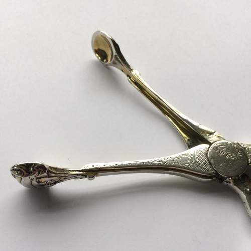 Rare Victorian Silver Sugar Scissors image-4