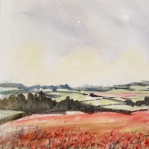 Original Watercolour Painting of Cotswold Poppies image-2