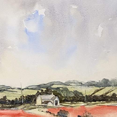 Original Watercolour Painting of Cotswold Poppies image-3