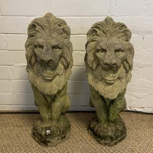 Pair of  Stone Garden Lions