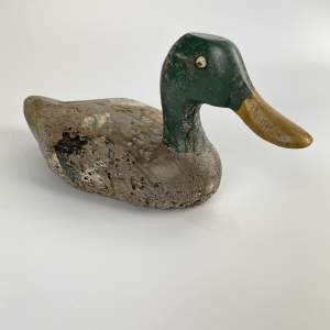 Antique Decoy Duck - Mallard - Folk Art
