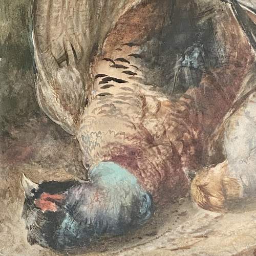 19th Century Watercolour and Body Colour Painting of Pheasants image-2