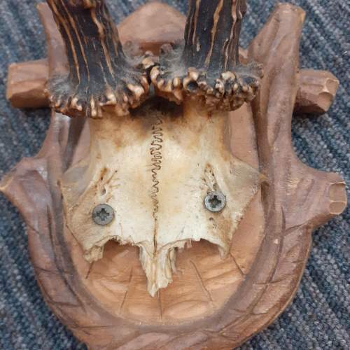 Vintage Antlers on a Wooden Carved Base image-2