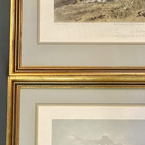 Pair of Gilt Framed Hunting Engravings image-6