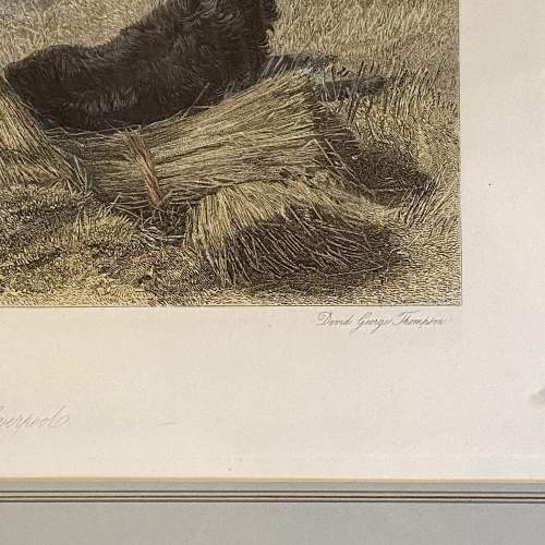 Pair of Gilt Framed Hunting Engravings image-3