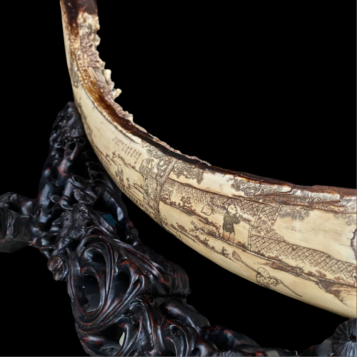 Exceptional Carved Fossilized Mammoth Tusk image-2