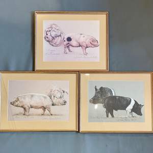 Set of Three Pigs Pictures by Barbara Robinson
