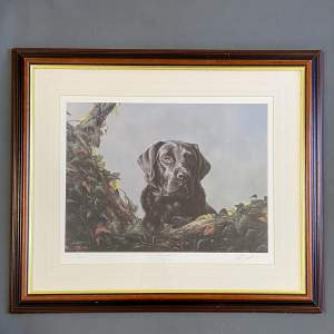 Signed Lithograph of a Black Labrador by John Silver