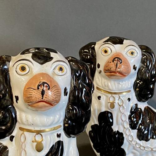 Pair of Vintage Staffordshire Dogs image-2