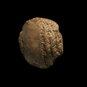 Mesopotamian Cuneiform Tablet  3rd-2nd millennium B.C