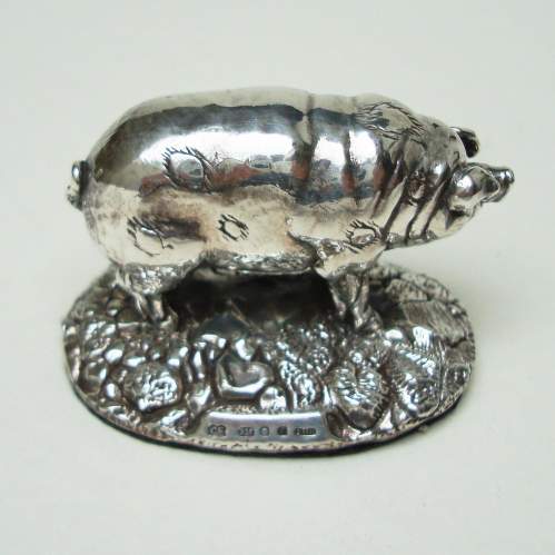 Silver Spotted Pig image-1