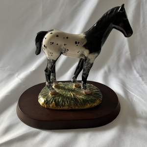 Royal Doulton Appaloosa Foal on Stand