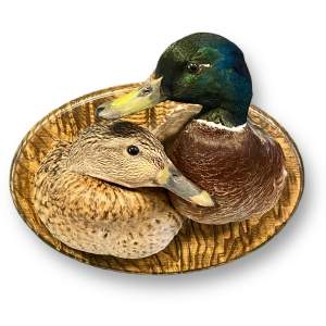 Pair of Taxidermy Mallard Duck Heads