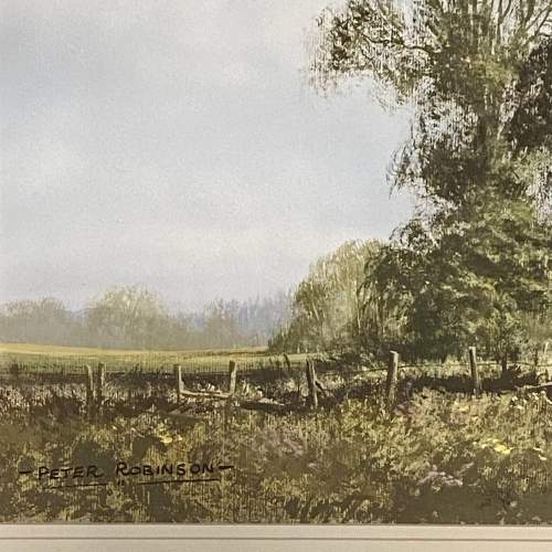 20th Century Landscape Watercolour by Peter Robinson image-4