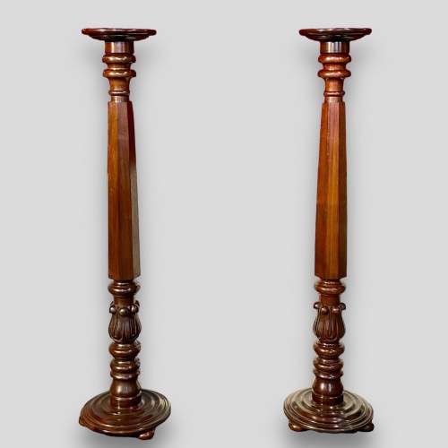 Pair of  Large 19th Century Mahogany Torcheres image-1