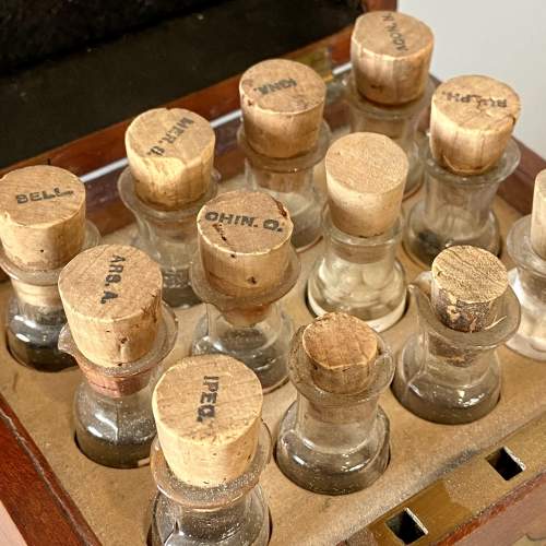 Complete Late Victorian Homeopathy Chest image-4
