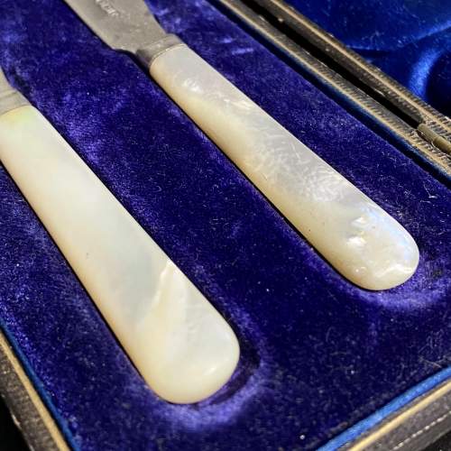 Boxed Pair of Butter Knives with Silver Blades image-4
