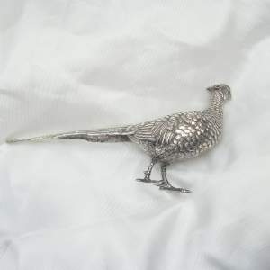 Silver Pheasant