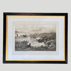 Grouse in Heather Engraving by Archibald Thorburn