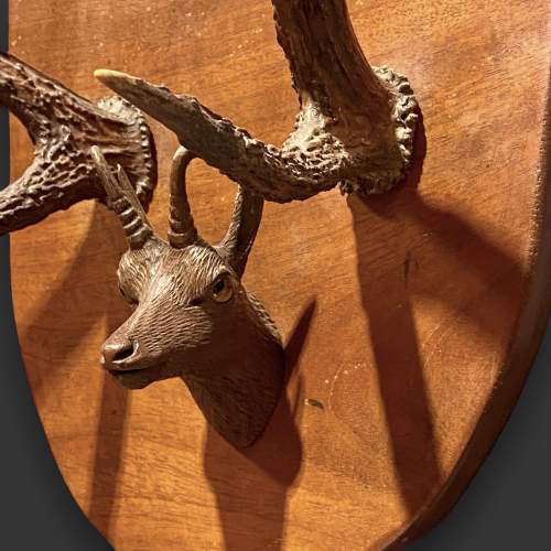 Mahogany Mounted Antlers with Carved Chamois Deer Head image-5